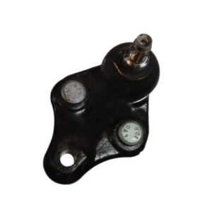 سیبک طبق شاهین