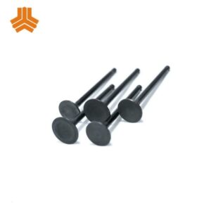 سوپاپ دود و بنزین تیبا