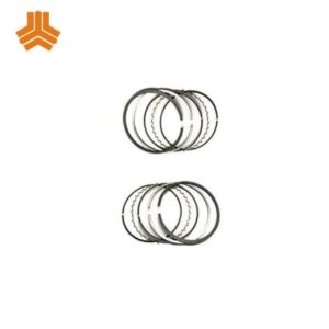 رینگ موتور سایز استاندارد تیبا